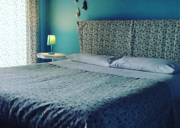 B&B Xenia